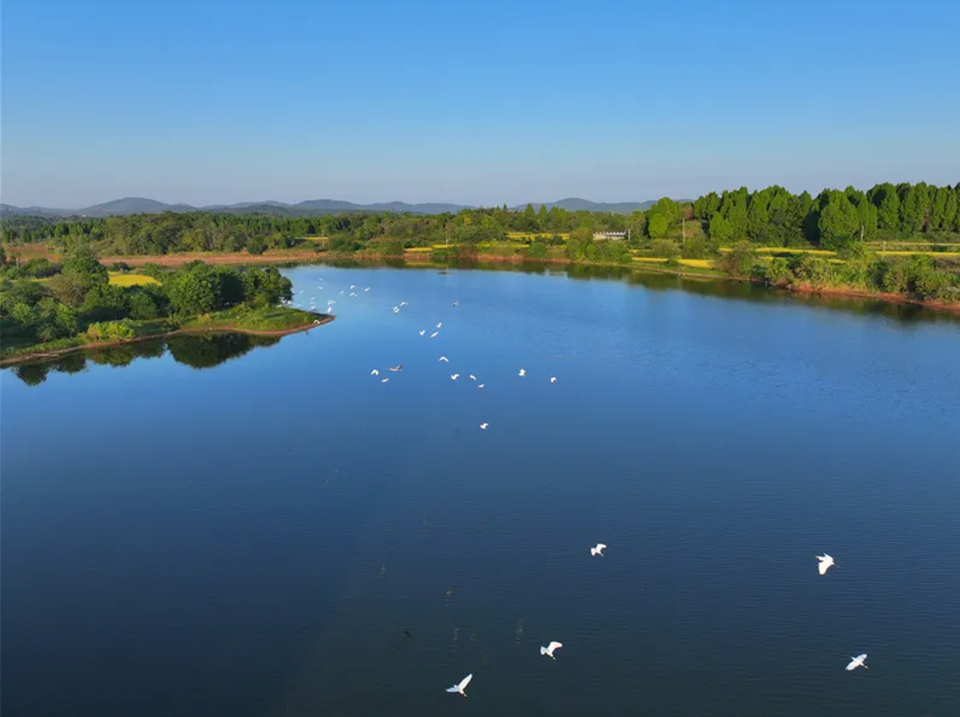 我县舂陵江（桂阳段）成功入选湖南省第三批美丽河湖优秀案例