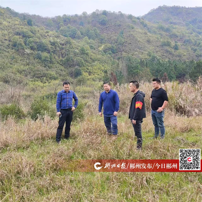 你无声倒下，在百姓心里树起丰碑 ——追记桂阳县桥市乡党委副书记、乡长曾德鹏