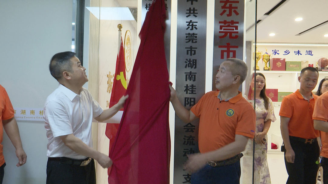 深入推进“六大新行动” 全面实施“八大行动”|巫初华率队赴广东考察招商