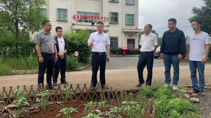 深入推进“六大新行动” 全面实施“八大行动” |巫初华调研督导“四类乡村”建设工作