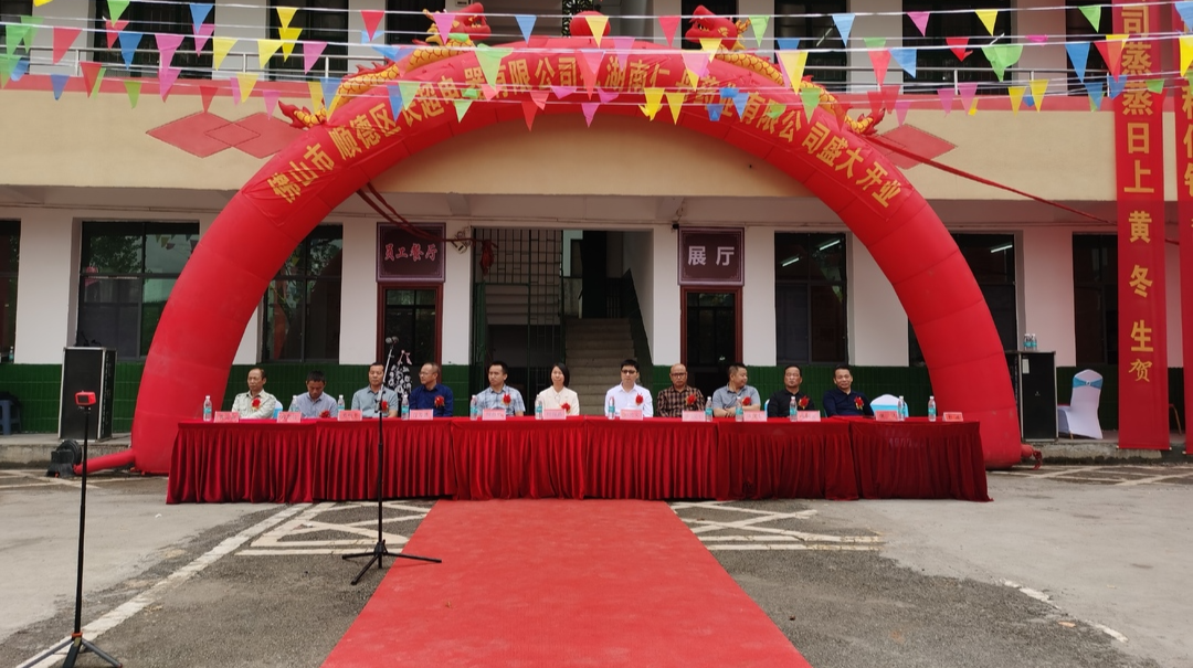 湖南仁丹药业有限公司落地仁义镇