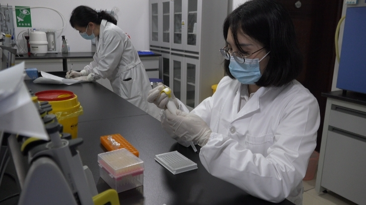 都说桂阳美·劳动光辉耀蓉城丨袁莎莎：坚守动物防疫一线 当好畜牧安全“守护人”