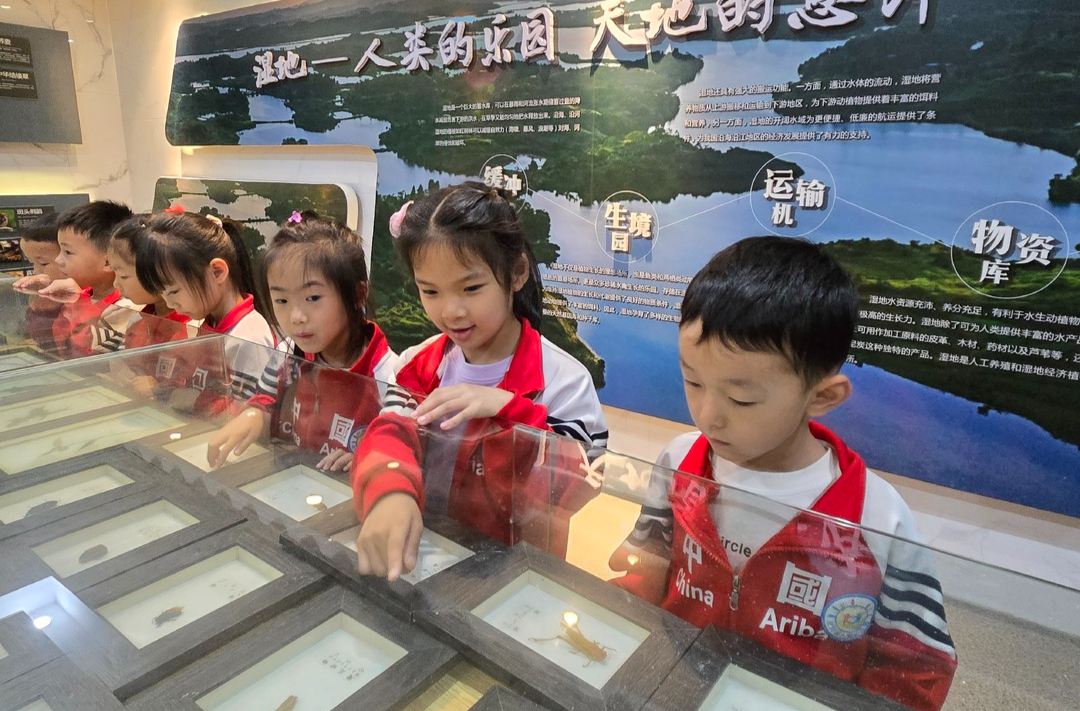 六五环境日丨幼儿园学生争当环保“小卫士”