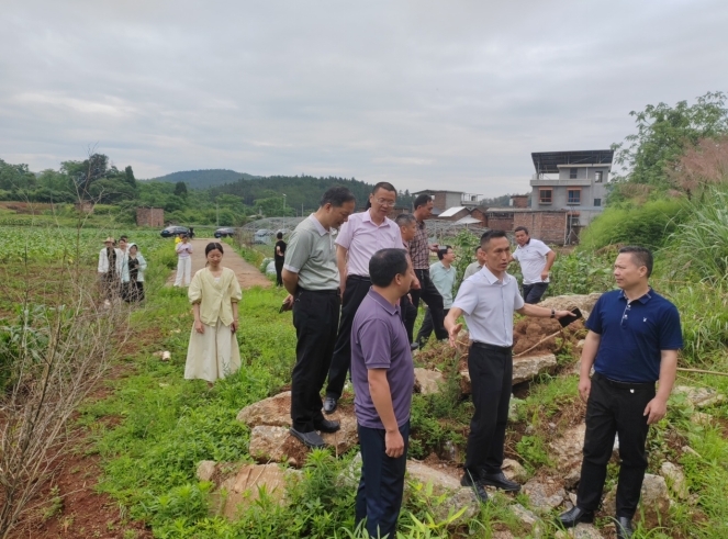 樟市镇人大：“代表有约”——听民声 解民忧促工作