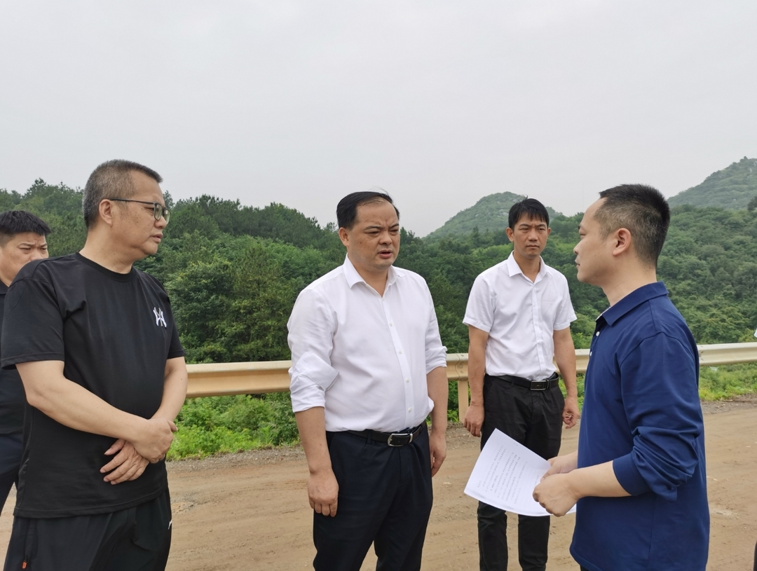 李志强调研督导中央生态环保督察重点交办件办理和防汛工作