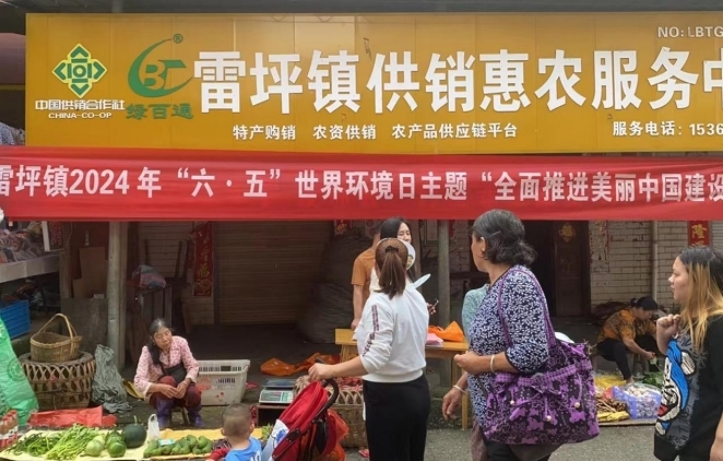 雷坪镇：开展“世界环境日”主题宣传活动