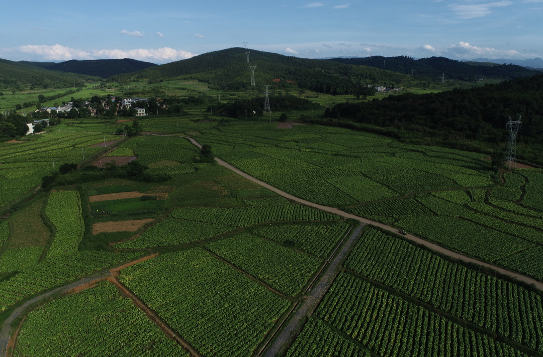 深入推进“六大新行动” 全面实施“八大行动” | 从“移居”到“宜居” 筑水库移民“幸福巢”