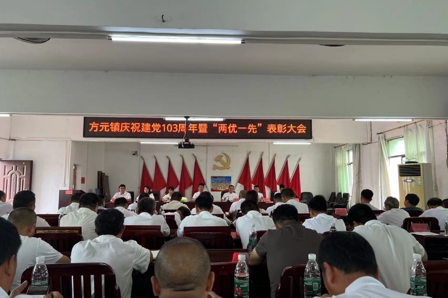 方元镇召开庆祝建党103周年暨“两优一先”表彰大会