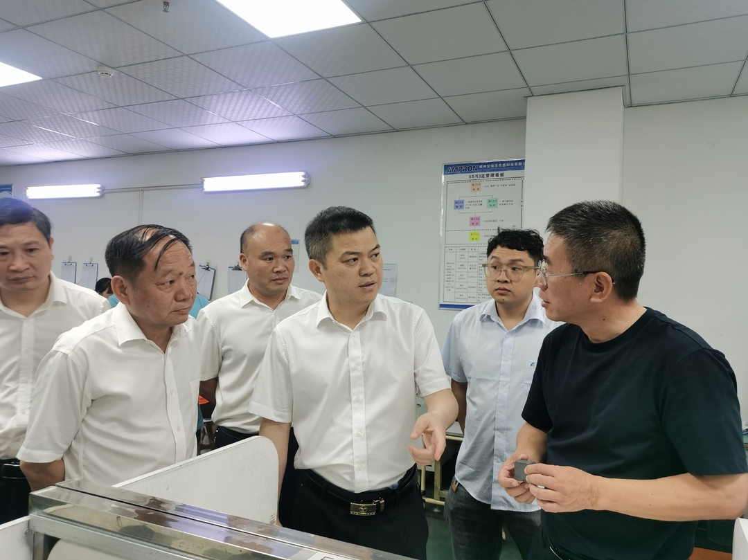 深入推进“六大新行动” 全面实施“八大行动”丨 巫初华调研企业发展、项目建设和乡村治理工作