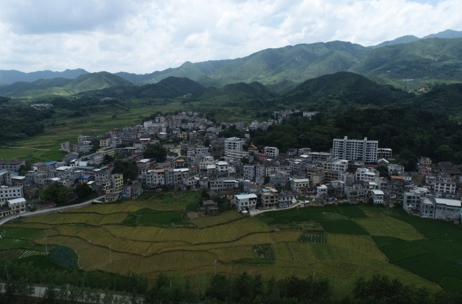 莲塘镇人民政府获评全省“八五”普法中期表现突出单位