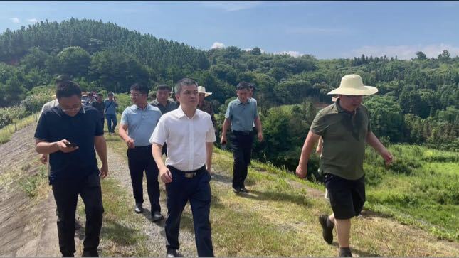 深入推进“六大新行动” 全面实施“八大行动” 巫初华调研防溺水等工作