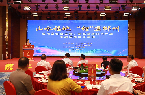 桂阳县有色金属、新能源新材料产业专题招商推介会
