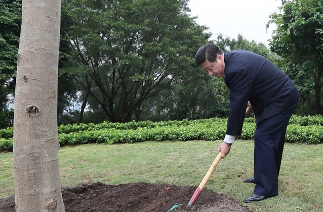 改革近镜头 | 高山榕下，春天的故事谱新篇