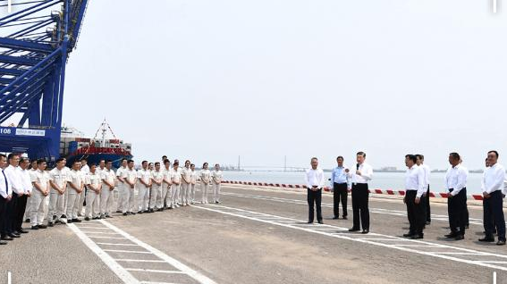 改革近镜头丨海南，春潮拍岸正扬帆