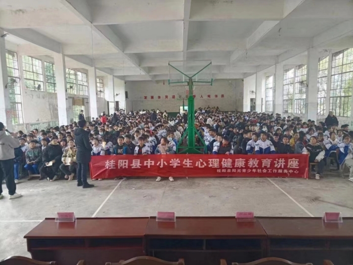 桂阳县“十大惠民工程”——心理健康服务“五进”行动已超额完成责任目标