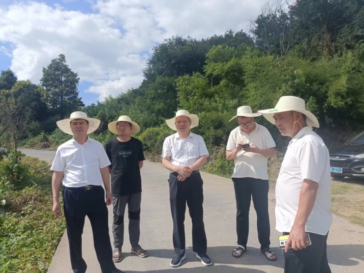 荷叶镇：“代表有约”暖民心“民呼我应”见实效