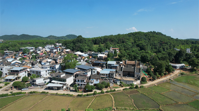 高温下的劳动者丨古建筑修复工：冒高温上“高台” 为古建披“古装”