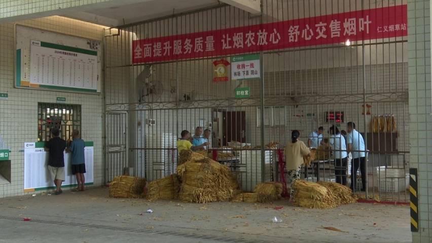 深入推进“六大新行动” 全面实施“八大行动”｜烟叶收购忙 烟农笑开颜