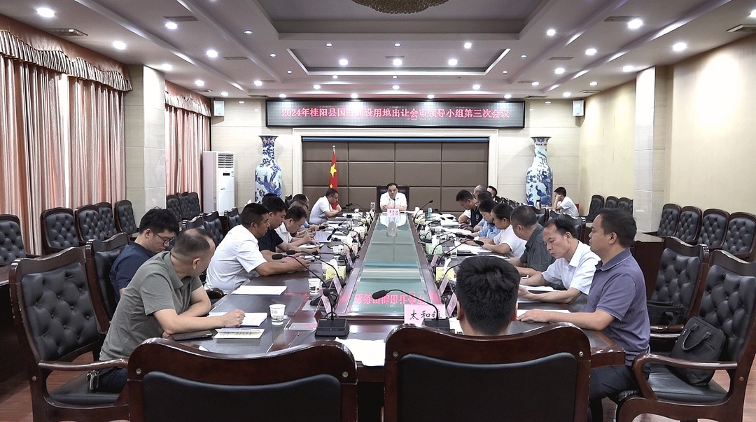 2024年桂阳县国有建设用地出让会审领导小组第三次会议召开