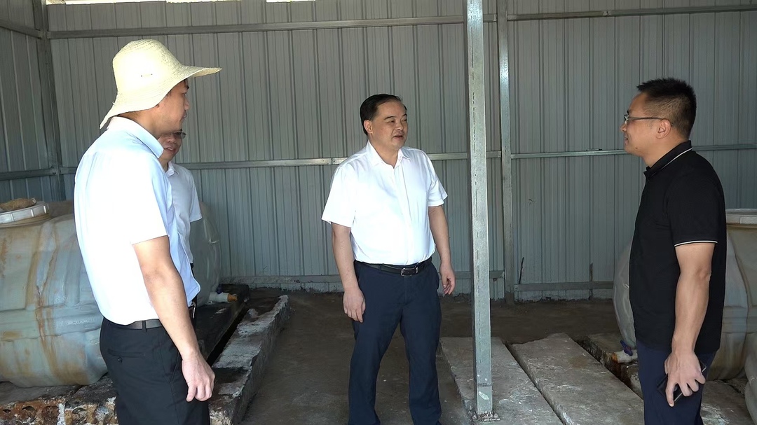 深入推进“六大新行动” 全面实施“八大行动”丨李志强调研督导环保督察整改工作