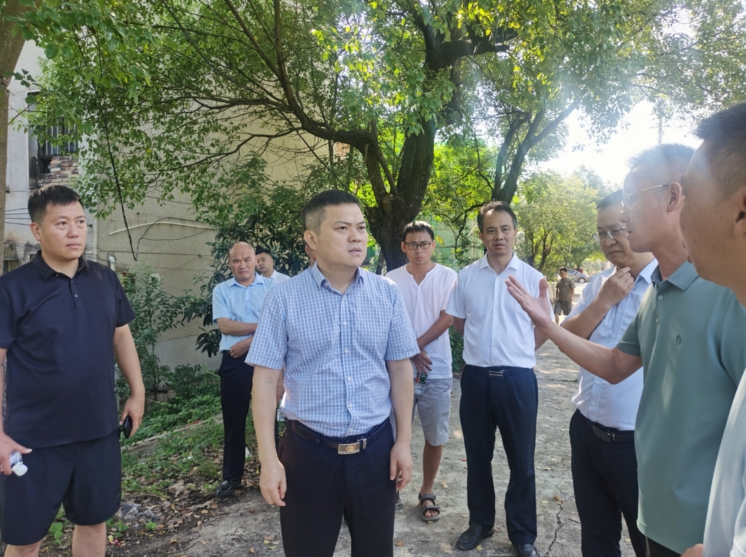 深入推进“六大新行动” 全面实施“八大行动”｜巫初华调研黄沙坪独立工矿区项目