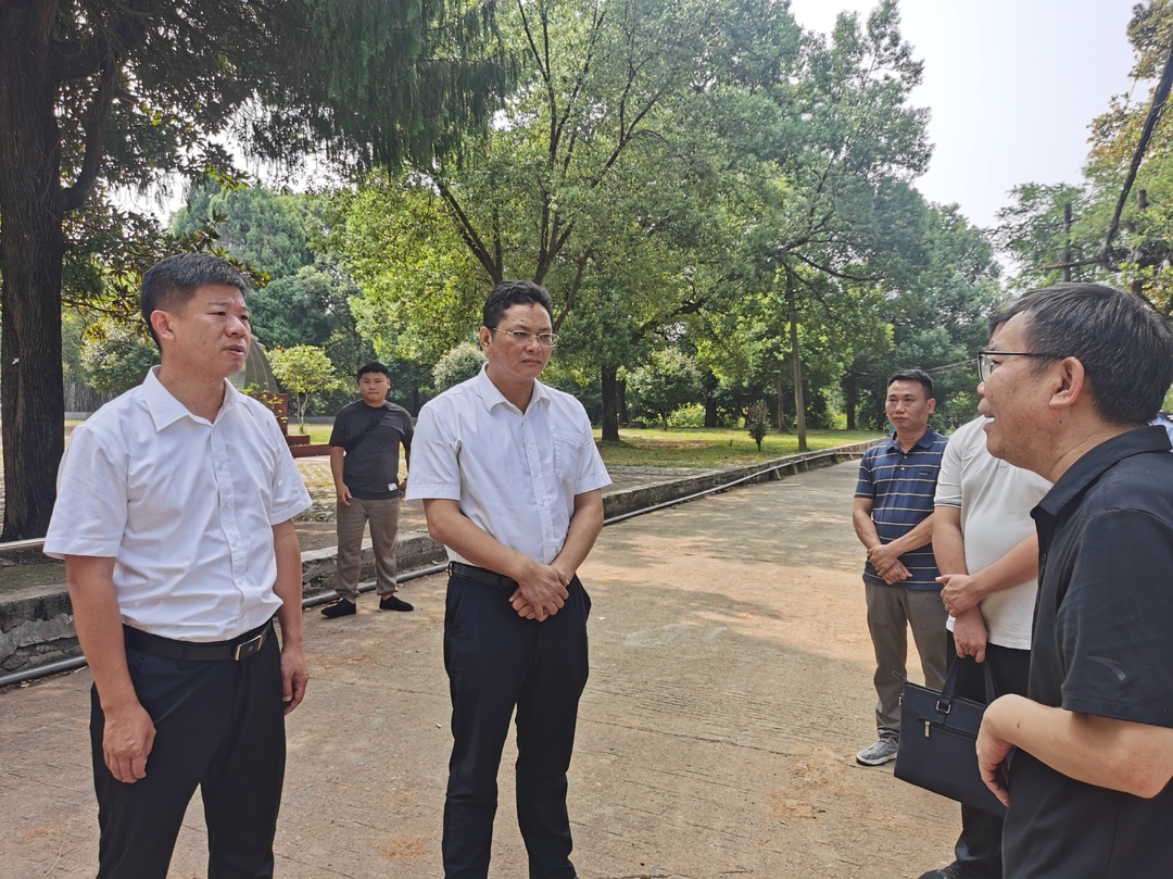 杨君毅调研我县2024秋季开学工作