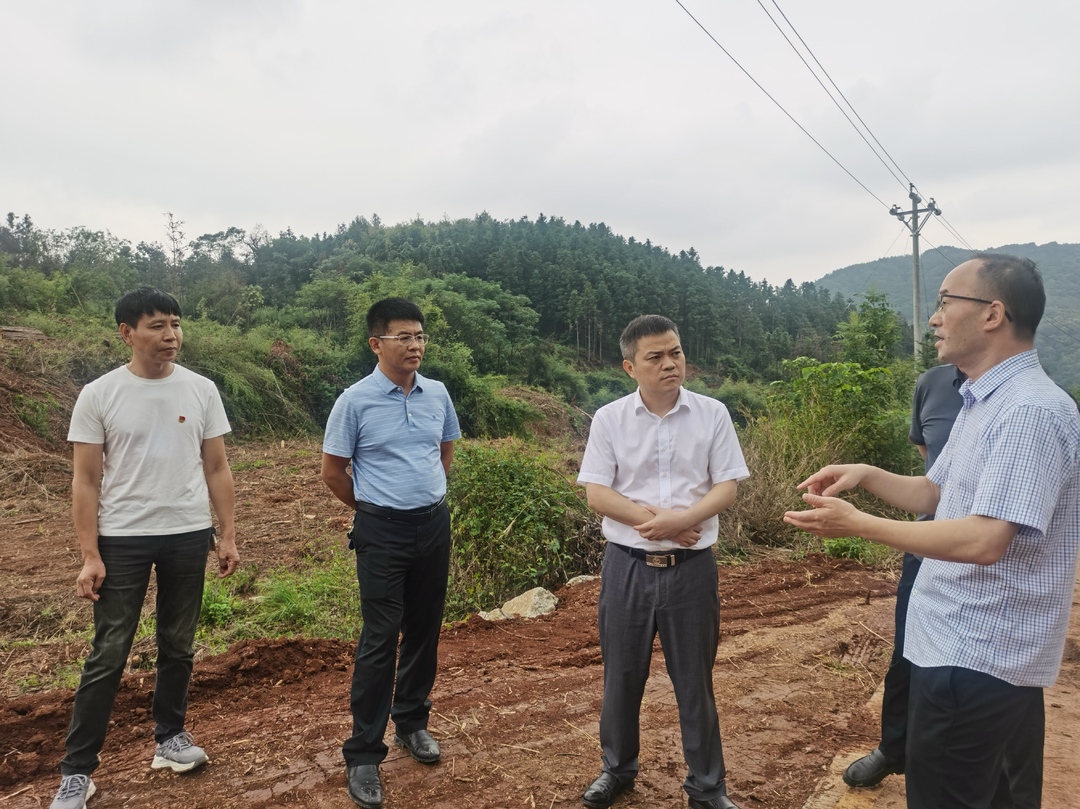 深入推进“六大新行动” 全面实施“八大行动” | 巫初华调研耕地恢复工作并开展巡林