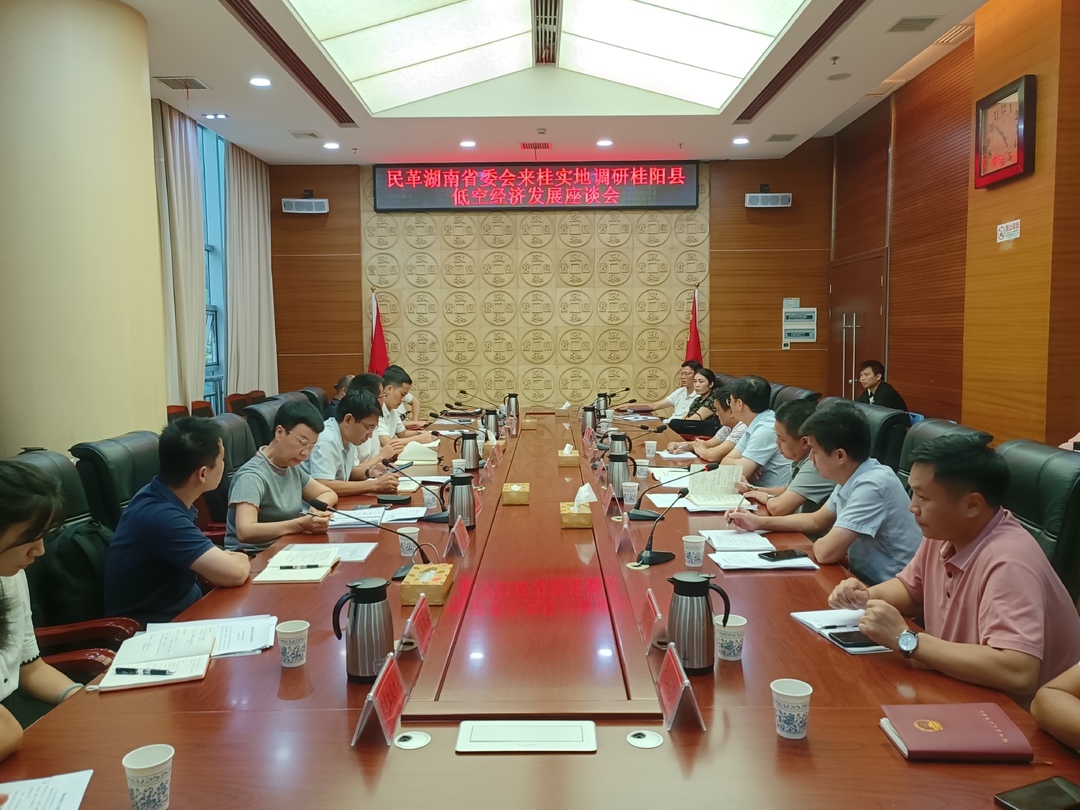 民革湖南省委会来我县调研低空经济发展工作