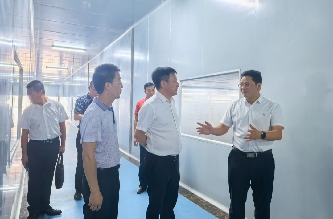 杨君毅调研招商引资签约项目进度情况