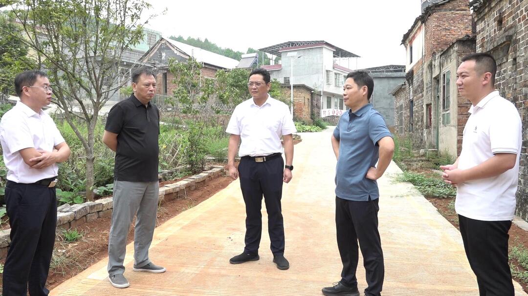 杨君毅调研“四类乡村”建设工作