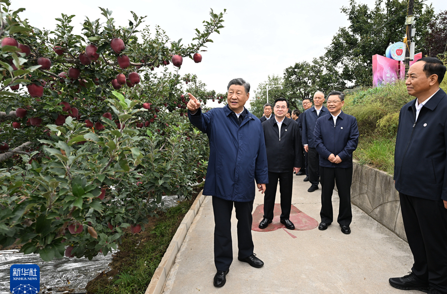 习近平在甘肃考察时强调 深化改革勇于创新苦干实干富民兴陇 奋力谱写中国式现代化甘肃篇章