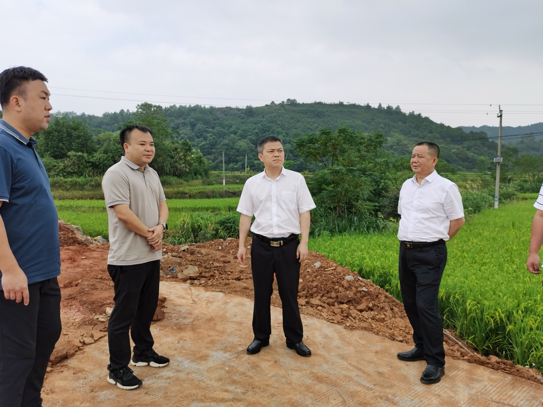 巫初华调研道路交通安全暨开展人大代表进站履职工作