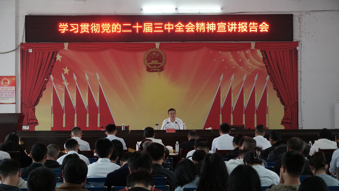 学习贯彻党的二十届三中全会精神｜巫初华到四里镇宣讲党的二十届三中全会精神
