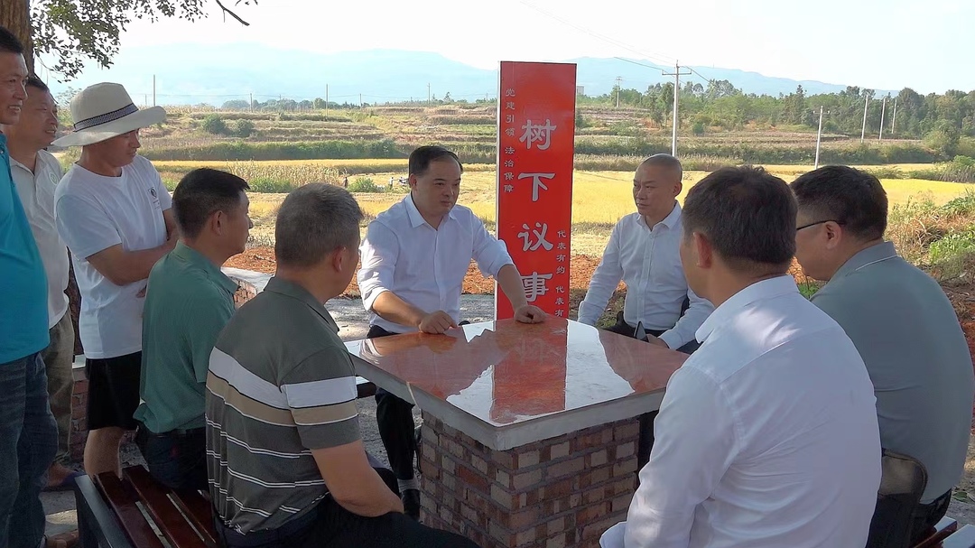【快讯】学习贯彻党的二十届三中全会精神 | 李志强宣讲党的二十届三中全会精神并开展人大代表进站履职、排查整顿软弱涣散村党组织活动