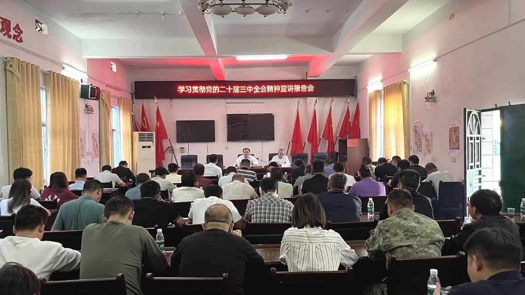 学习贯彻党的二十届三中全会精神 | 李志强宣讲党的二十届三中全会精神并开展人大代表进站履职、排查整顿软弱涣散村党组织活动