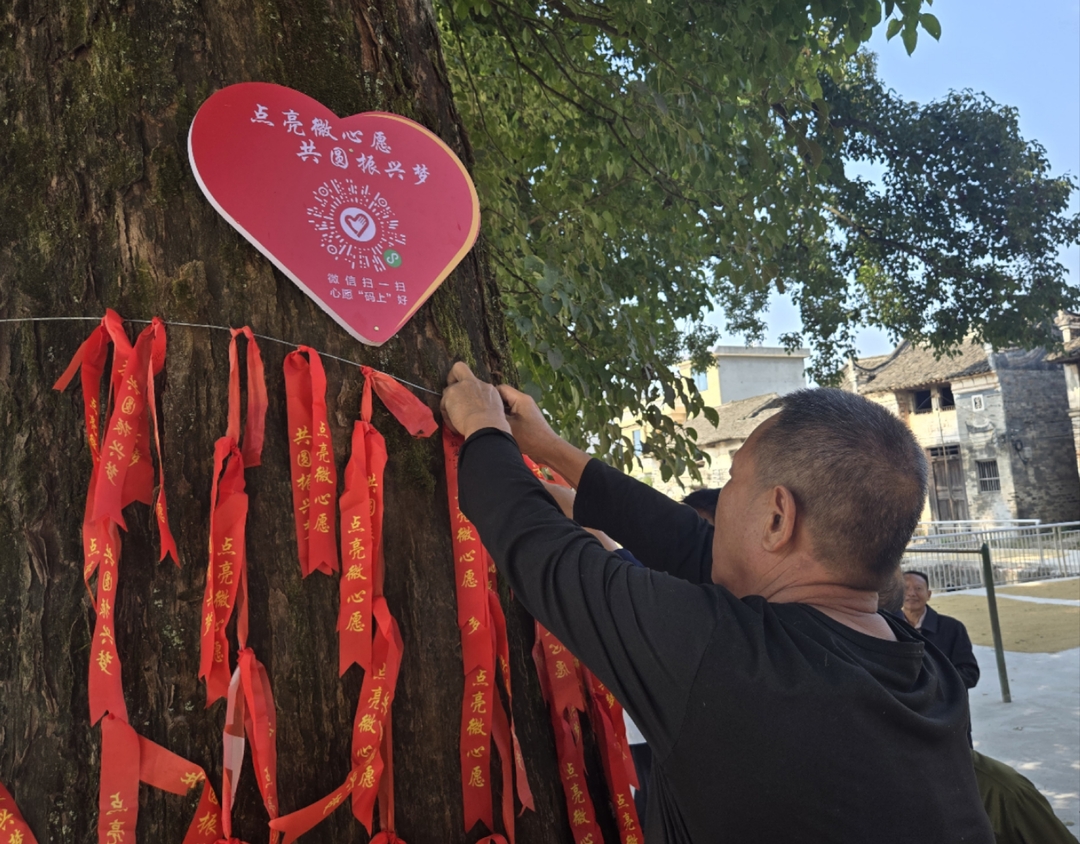 欧阳海镇廖家村：提质改造树下小屋场 搭建干群沟通大舞台