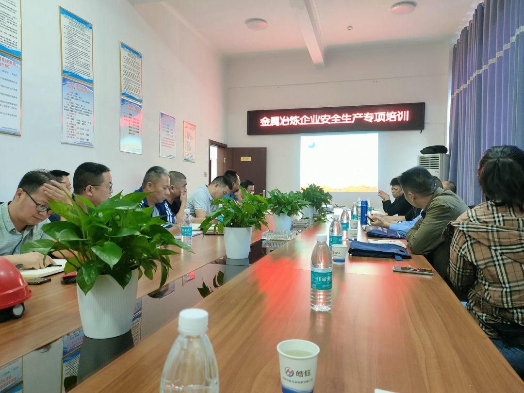 “两重”“两新”送解优专项行动|市应急局到桂阳高新区有色科技产业园开展“两重”“两新”送解优专项服务行动