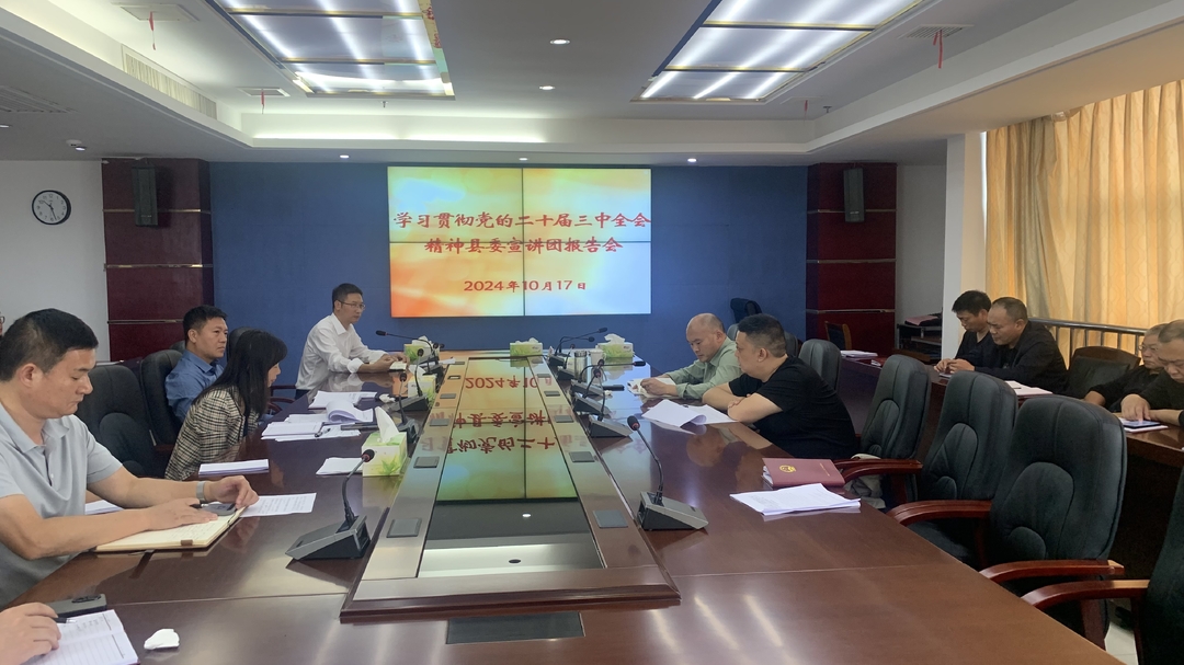 学习贯彻党的二十届三中全会精神｜县委宣讲团到桂阳高新区宣讲