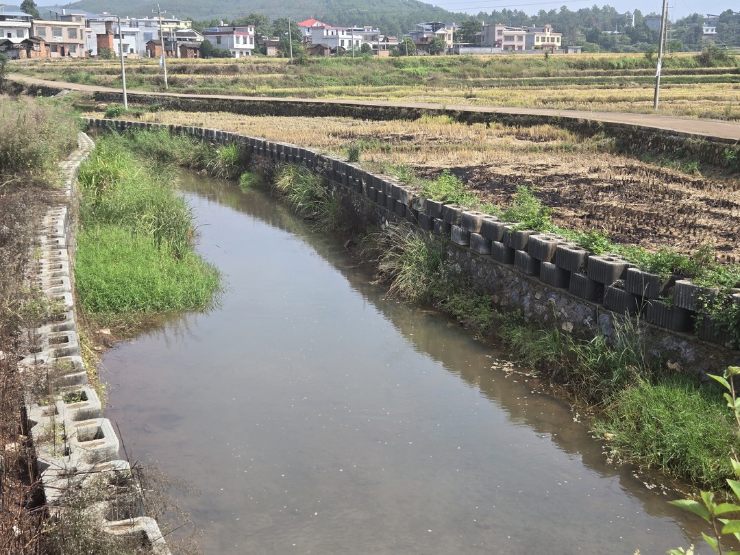 践初心 办实事｜稻香水丰生活美  水利建设助力移民安居乐业
