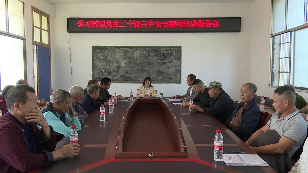 学习贯彻党的二十届三中全会精神丨县委宣讲团到四里镇东风村宣讲
