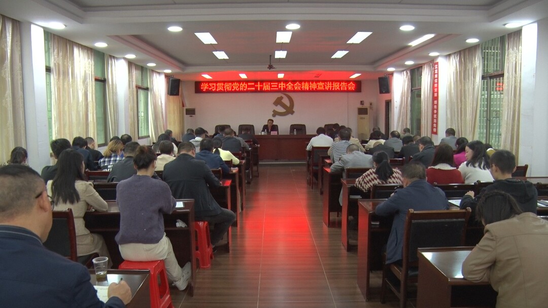 学习贯彻党的二十届三中全会精神｜县领导宣讲党的二十届三中全会精神并开展人大代表进站履职、调研村班子运行情况中期评估工作