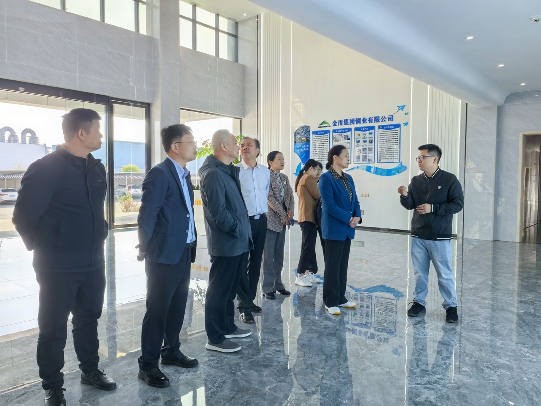 宁乡市政协来我县考察储能材料产业发展工作情况
