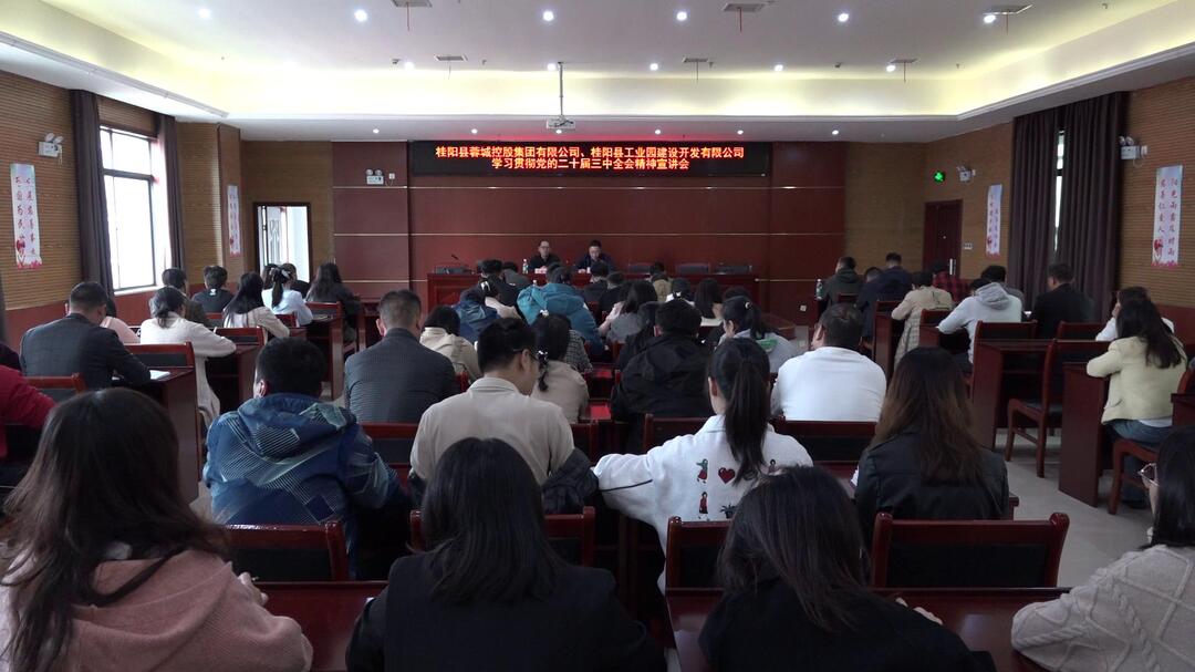 学习贯彻党的二十届三中全会精神｜县委宣讲团到蓉城控股集团、县工业园建设开发有限公司宣讲