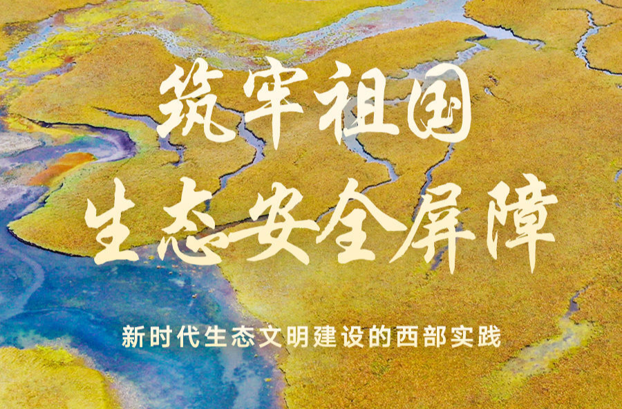 筑牢祖国生态安全屏障——新时代生态文明建设的西部实践