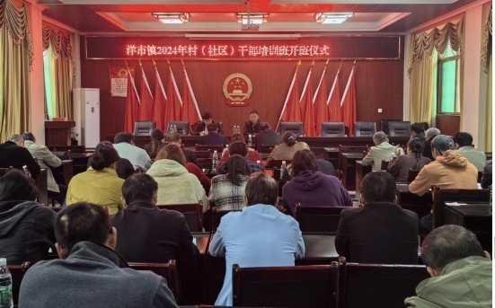 洋市镇：充电赋能让村“两委”干部履职更带感