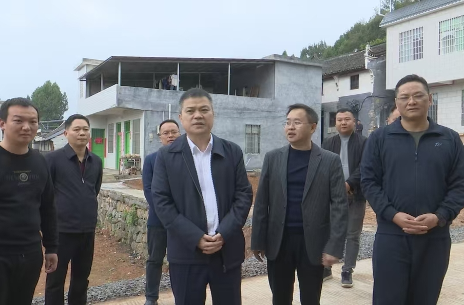 深入推进“六大新行动” 全面实施“八大行动”｜
巫初华调研“四类乡村”建设工作