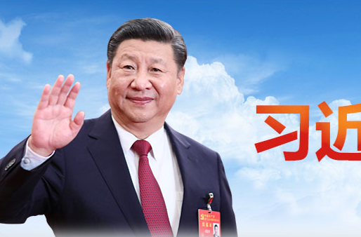 国家主席习近平同秘鲁总统博鲁阿尔特举行会谈
