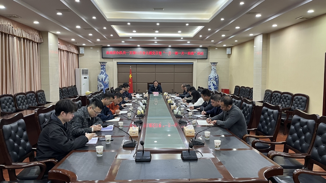 县政府办机关一支部开展11月份主题党日暨“一月一课一片一实践”活动