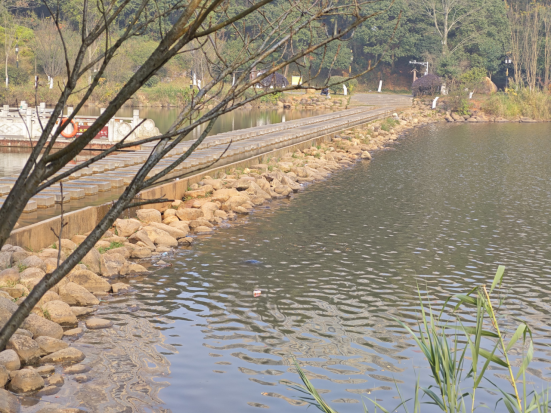 文明旅游｜反面曝光：文明之镜下的旅游“暗角”