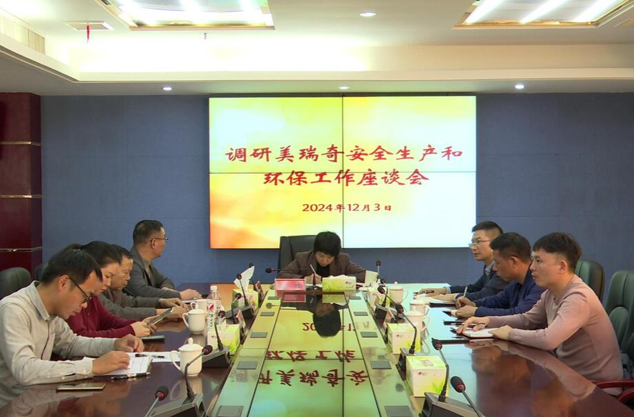 县领导调研企业安全生产和环保工作
